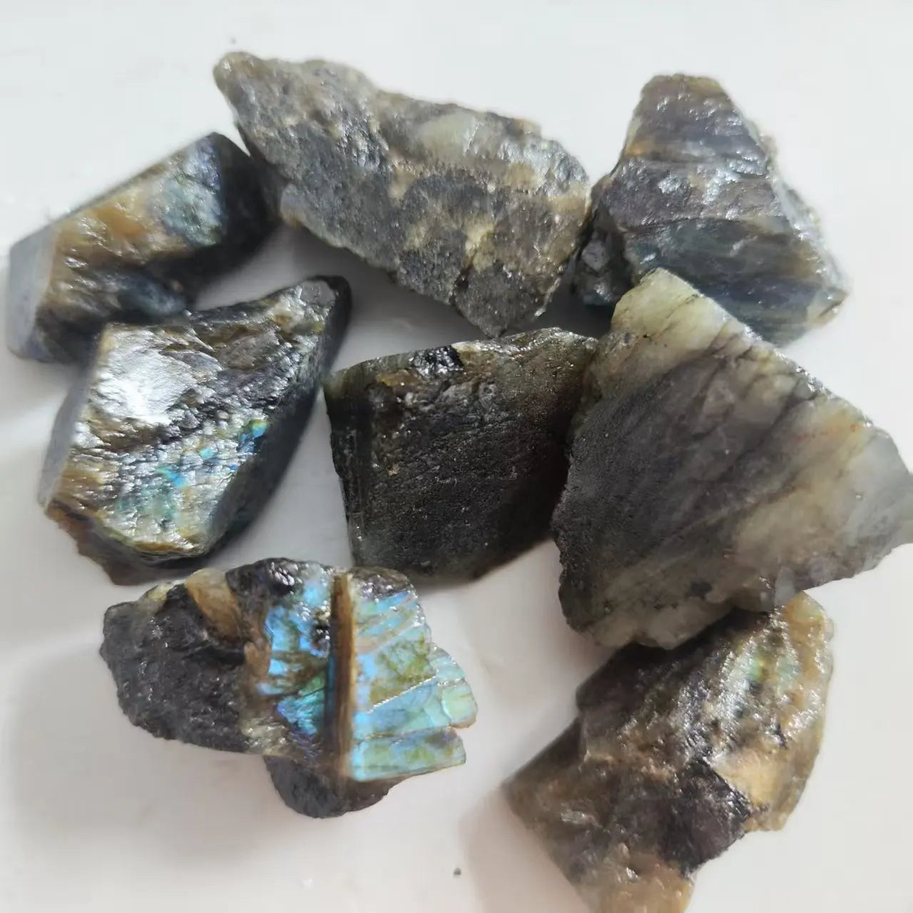Group of rough Labradorite pieces displaying gray surfaces with blue and gold flashes.