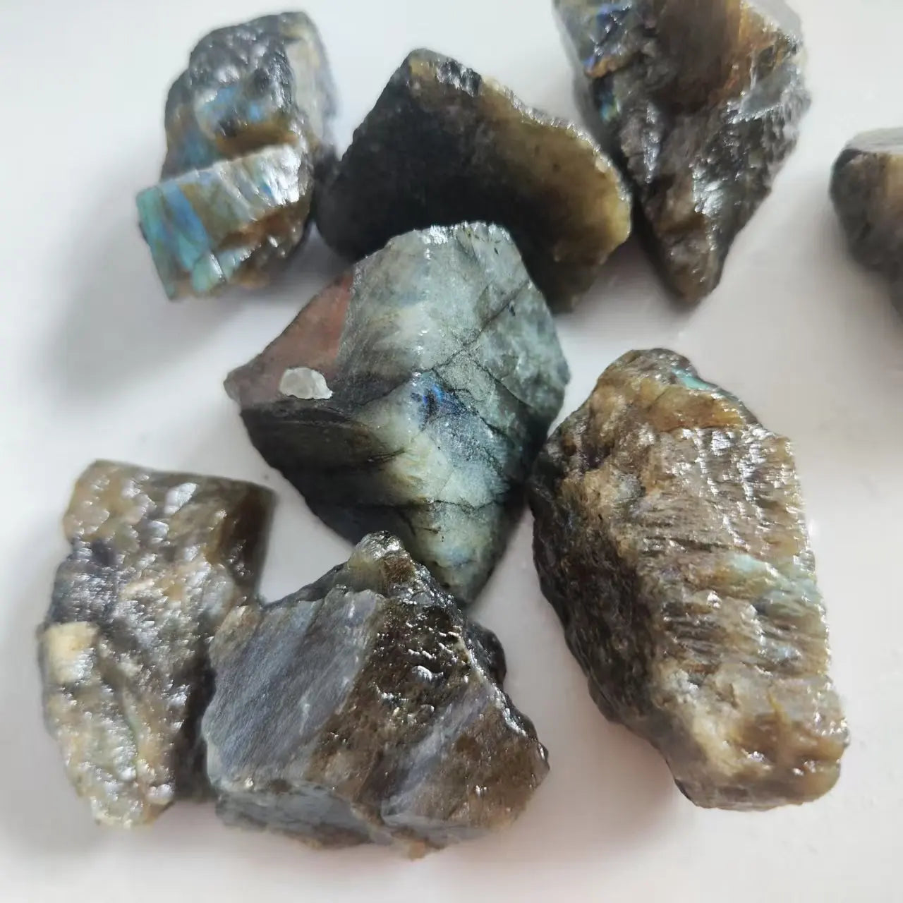 Rough Labradorite pieces showing cut faces, gray matrix, and patches of blue flash.