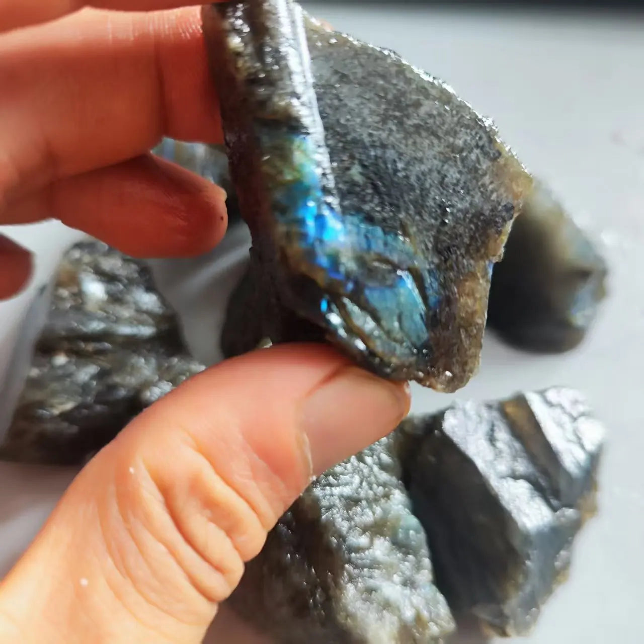 Hand holding a rough Labradorite piece showing a vivid blue iridescent flash.