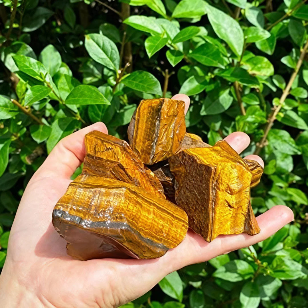 Hand holding several rough Tiger’s Eye pieces outdoors against green foliage.