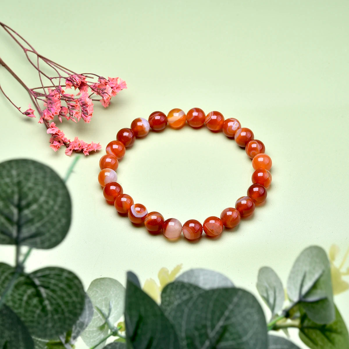 Carnelian bracelet displayed in a botanical setting with green leaves.