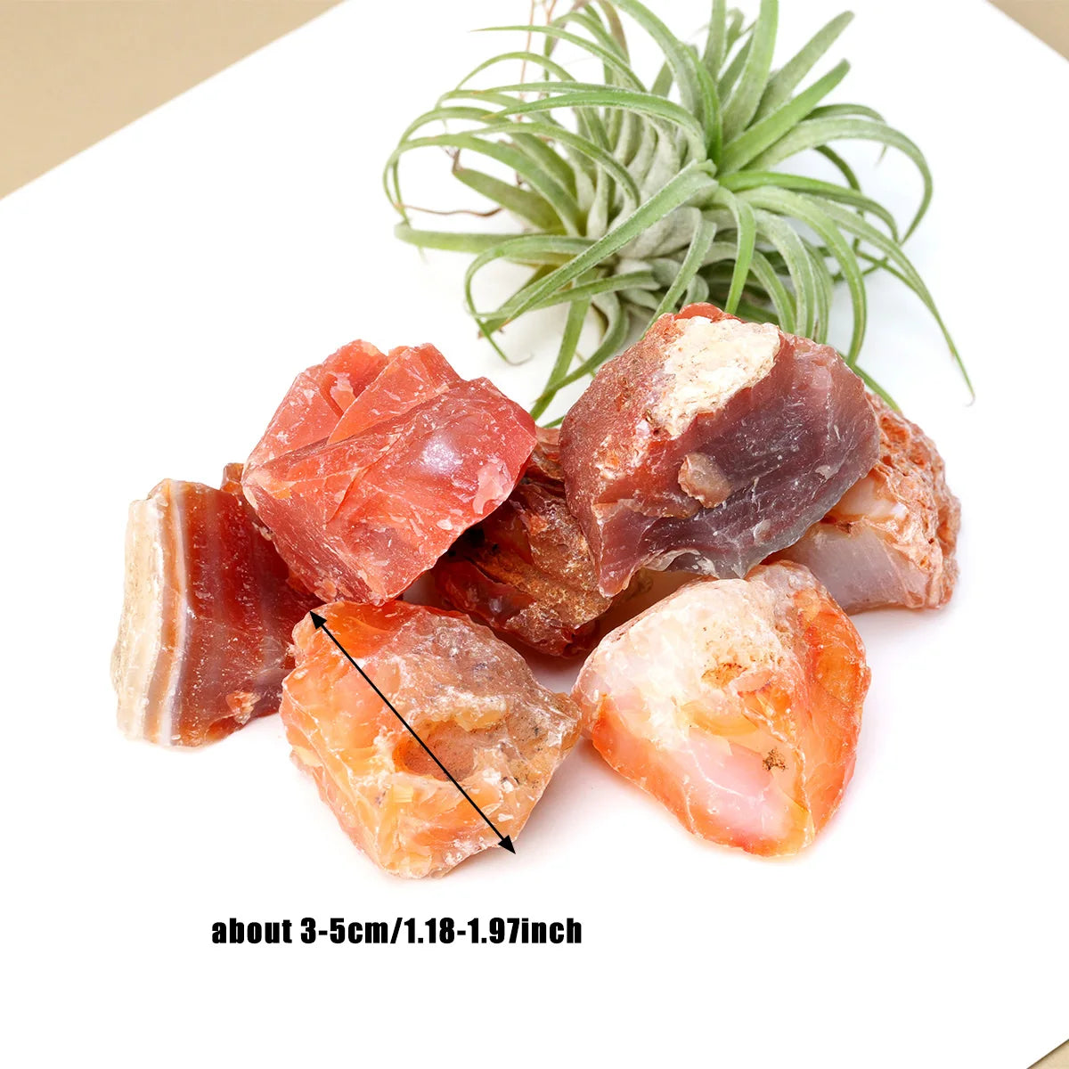 Rough Carnelian stones in a styled setting with an approximate size reference.