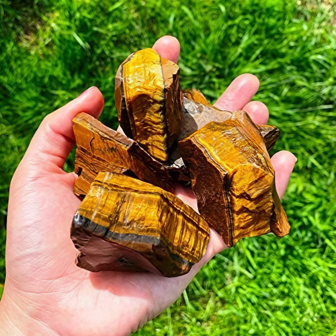 Hand holding several rough golden-brown Tiger’s Eye stones in sunlight.