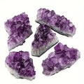 Five Amethyst crystal clusters showing varied shapes, points, and natural matrix.