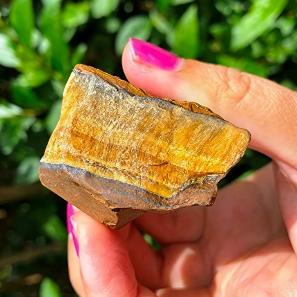 Close-up of a hand-held rough Tiger’s Eye piece showing golden-brown banding.