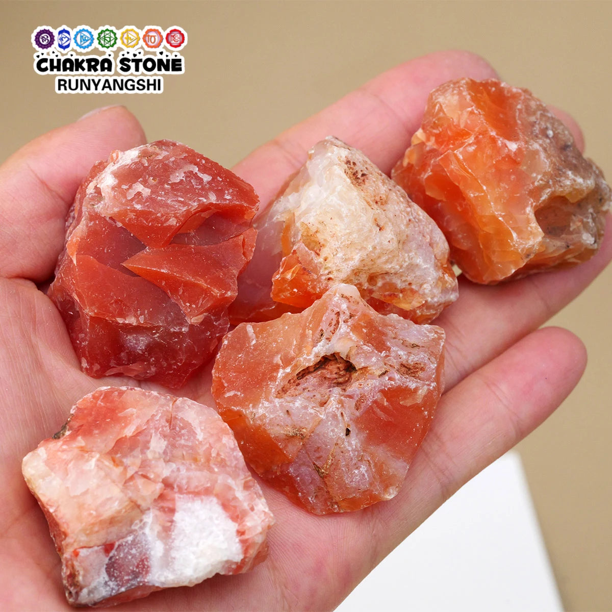 Hand holding several rough orange-red Carnelian stones with white natural matrix.