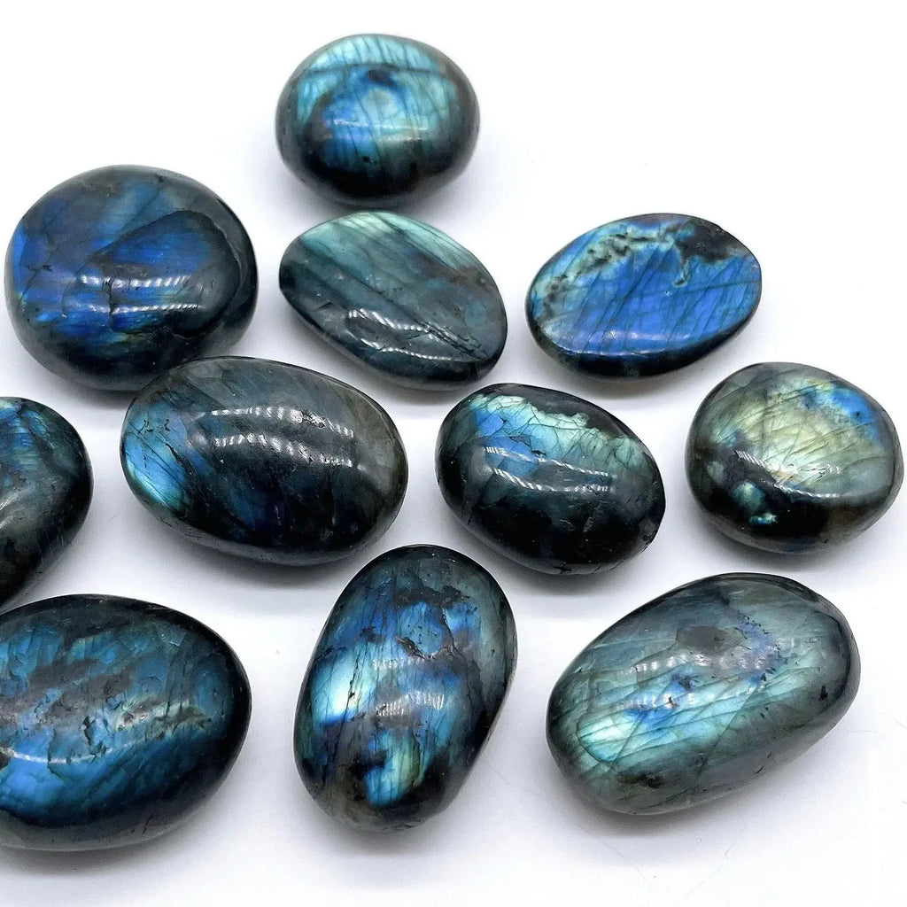 Small group of polished Labradorite stones on white with visible blue iridescence.