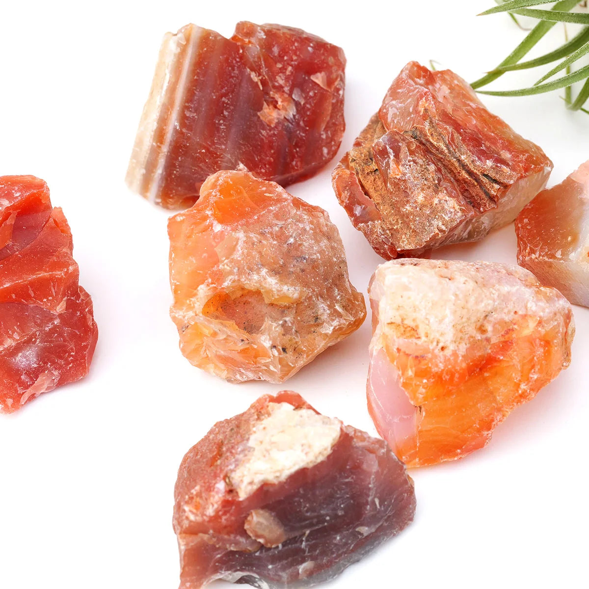 Assorted rough Carnelian stones grouped on a white background.